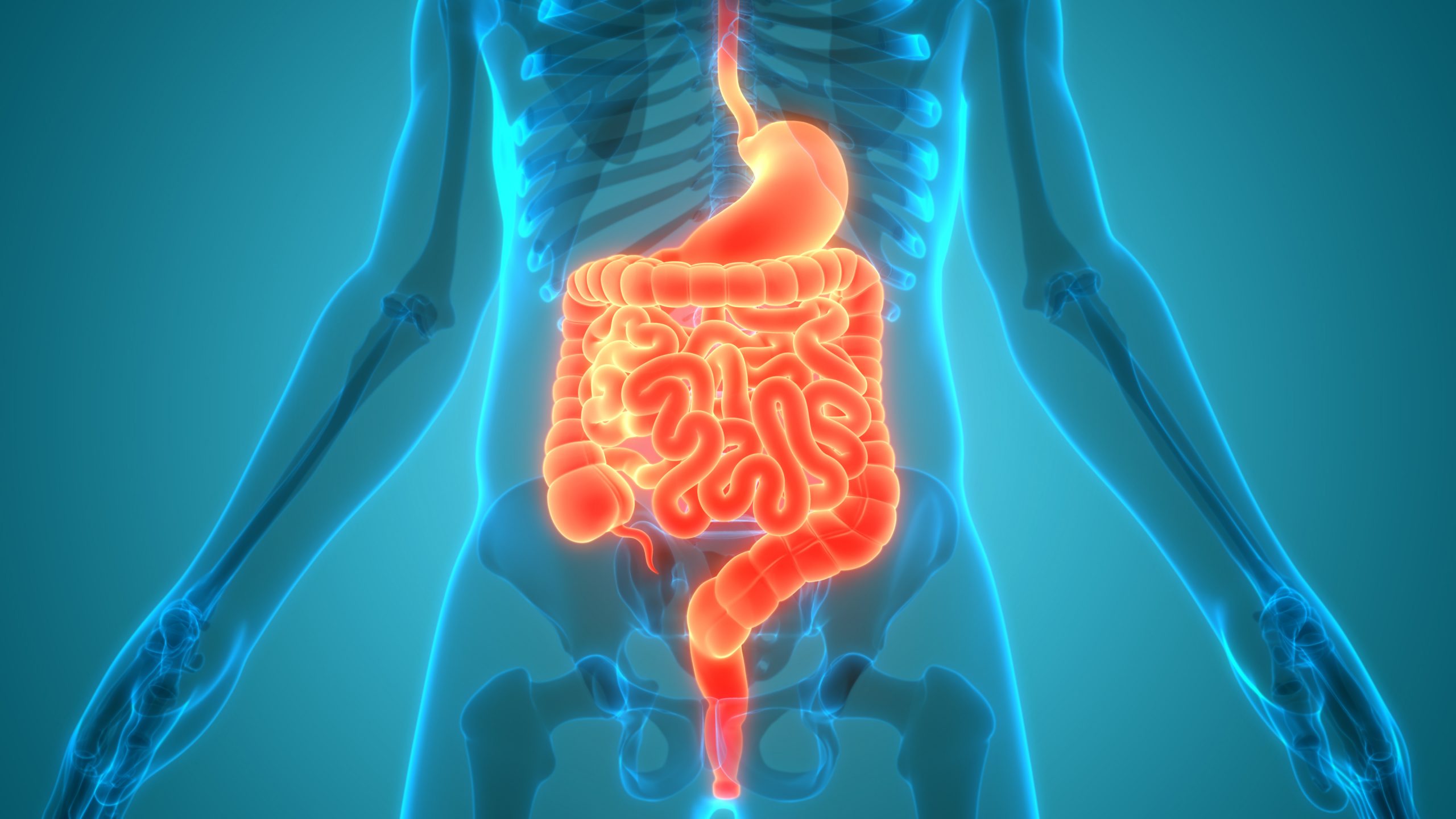 Impacto da doença inflamatória intestinal (dii) na manutenção de uma nutrição saudável