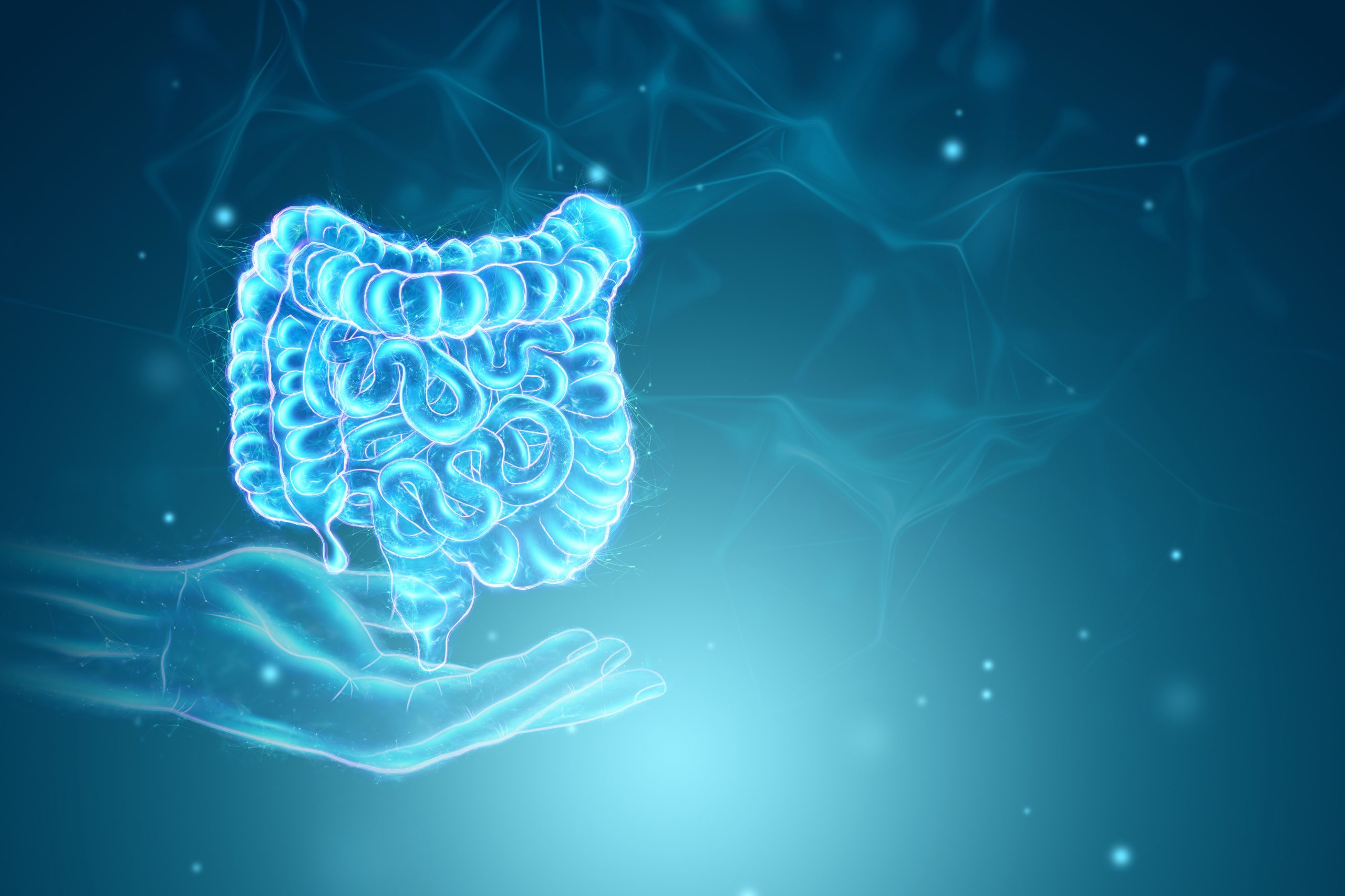 Leia mais sobre o artigo O que é Modulação intestinal?